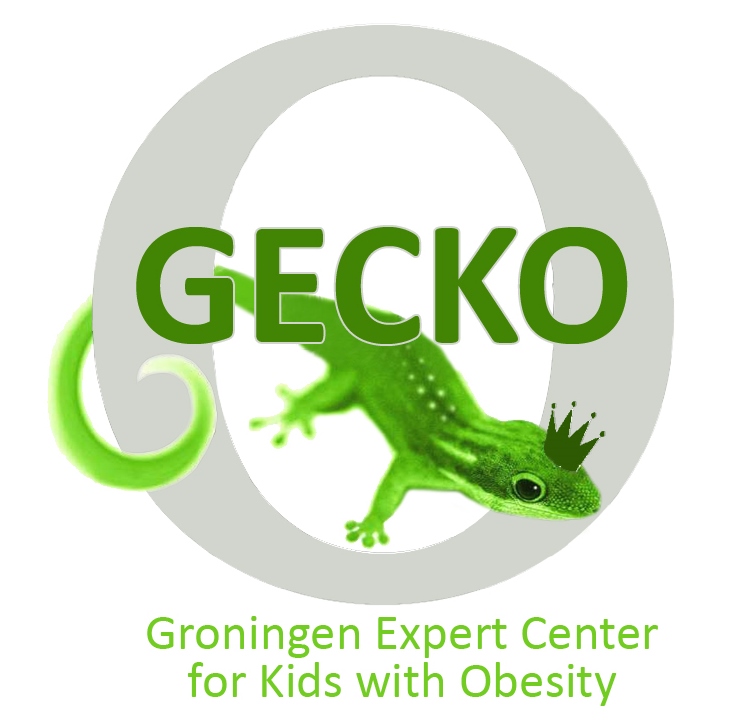 GECKO Drenthe